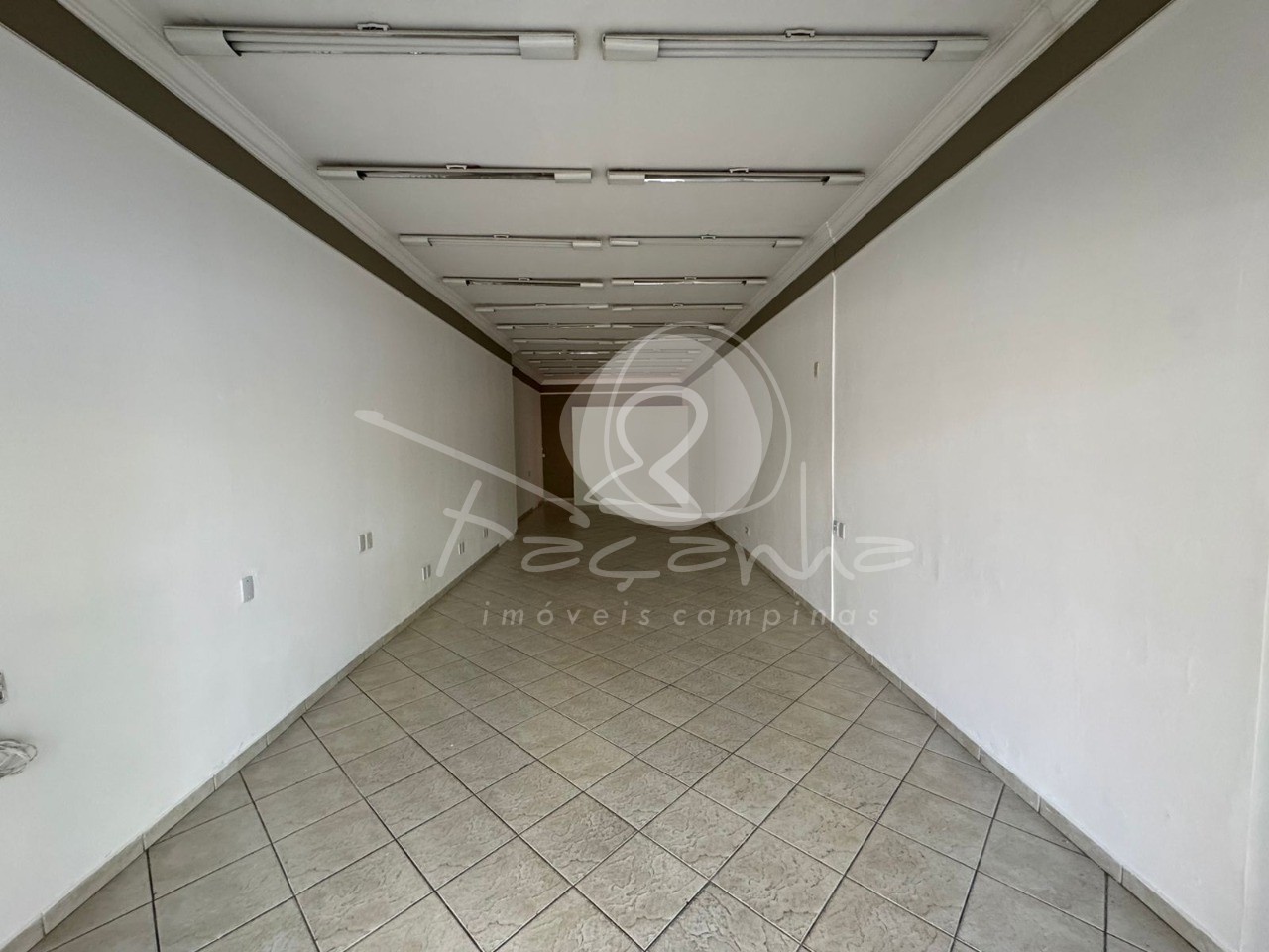 Loja-Salão, 236 m² - Foto 3