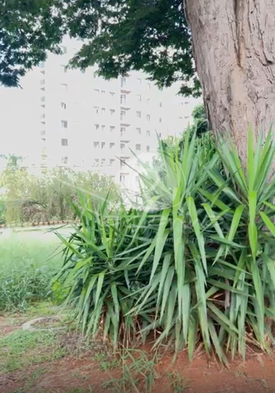 Terreno, 2000 m² - Foto 8