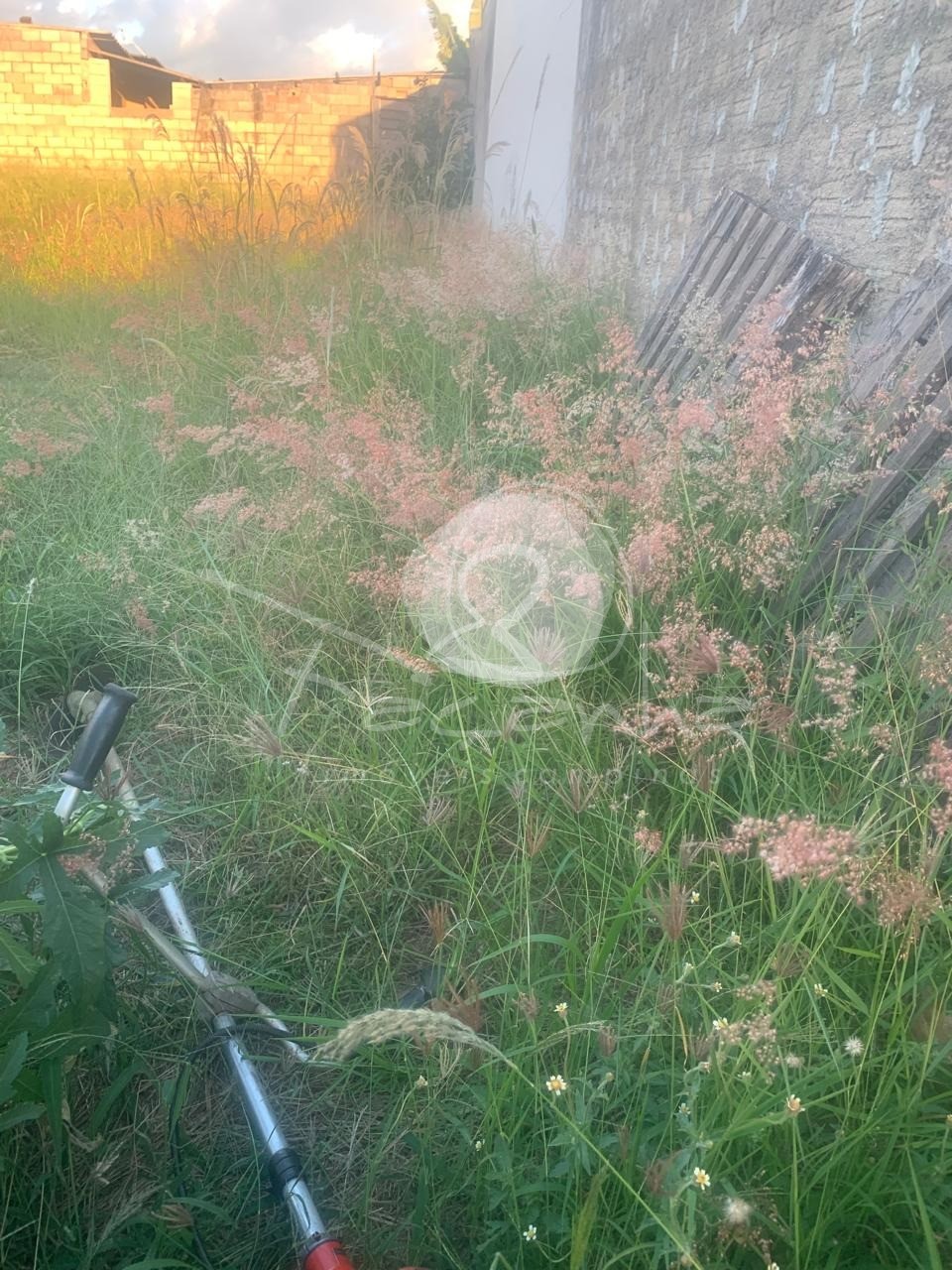 Terreno, 290 m² - Foto 3