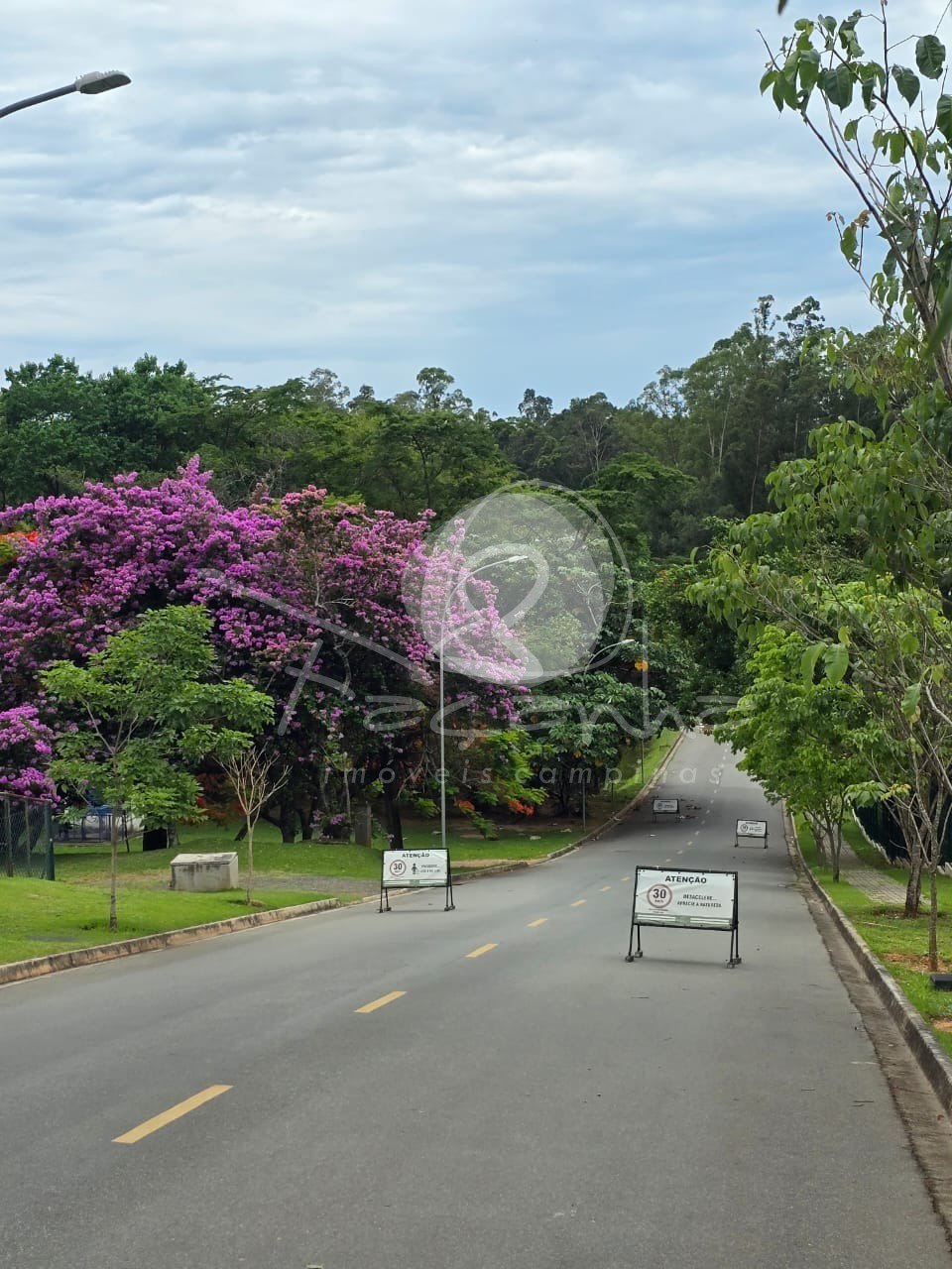 Terreno, 500 m² - Foto 4