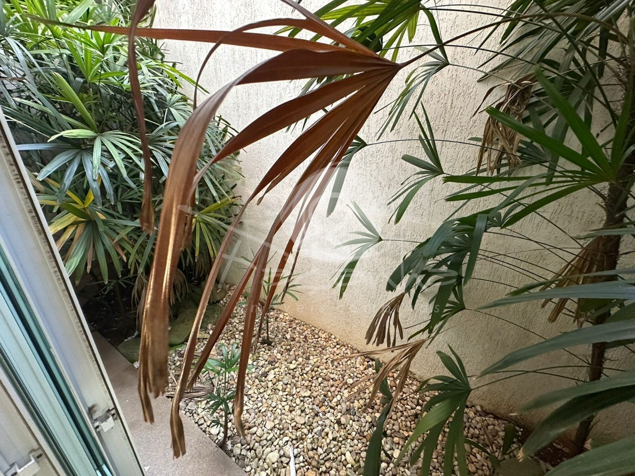 Casa, 4 quartos, 459 m² - Foto 18
