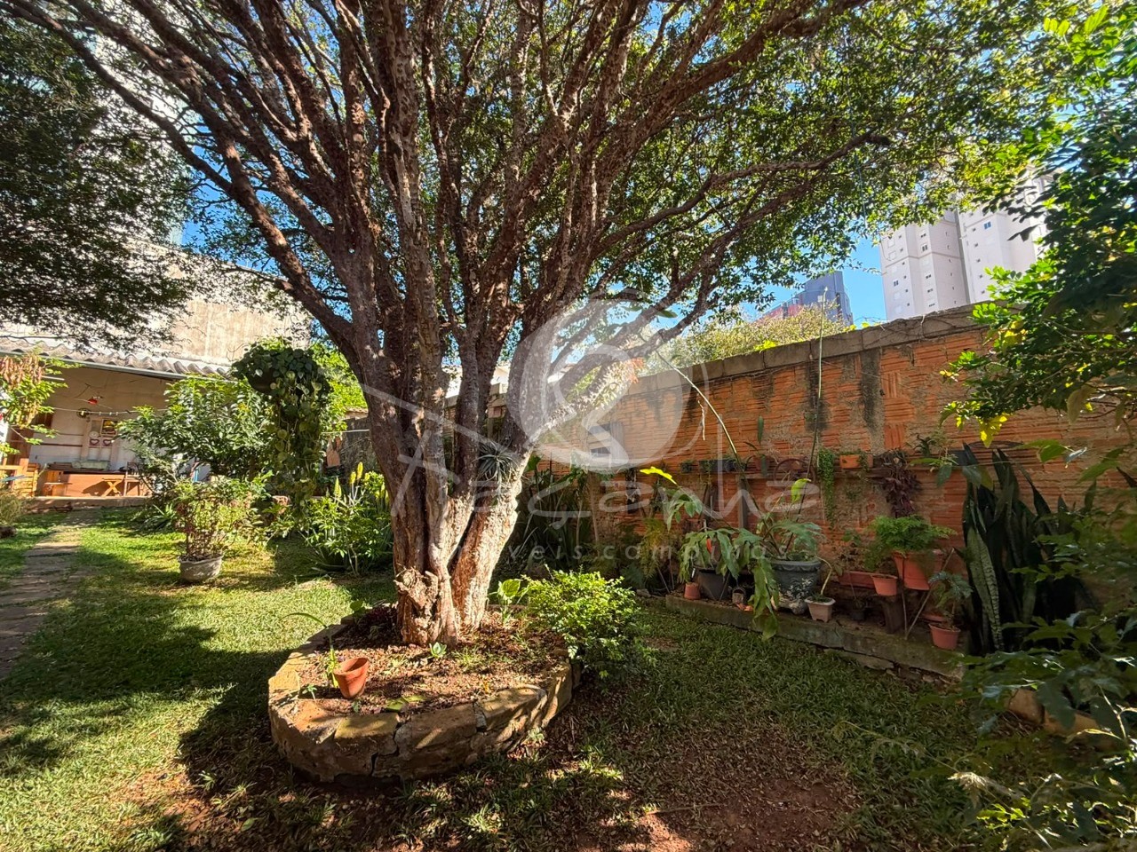 Casa, 4 quartos, 448 m² - Foto 46