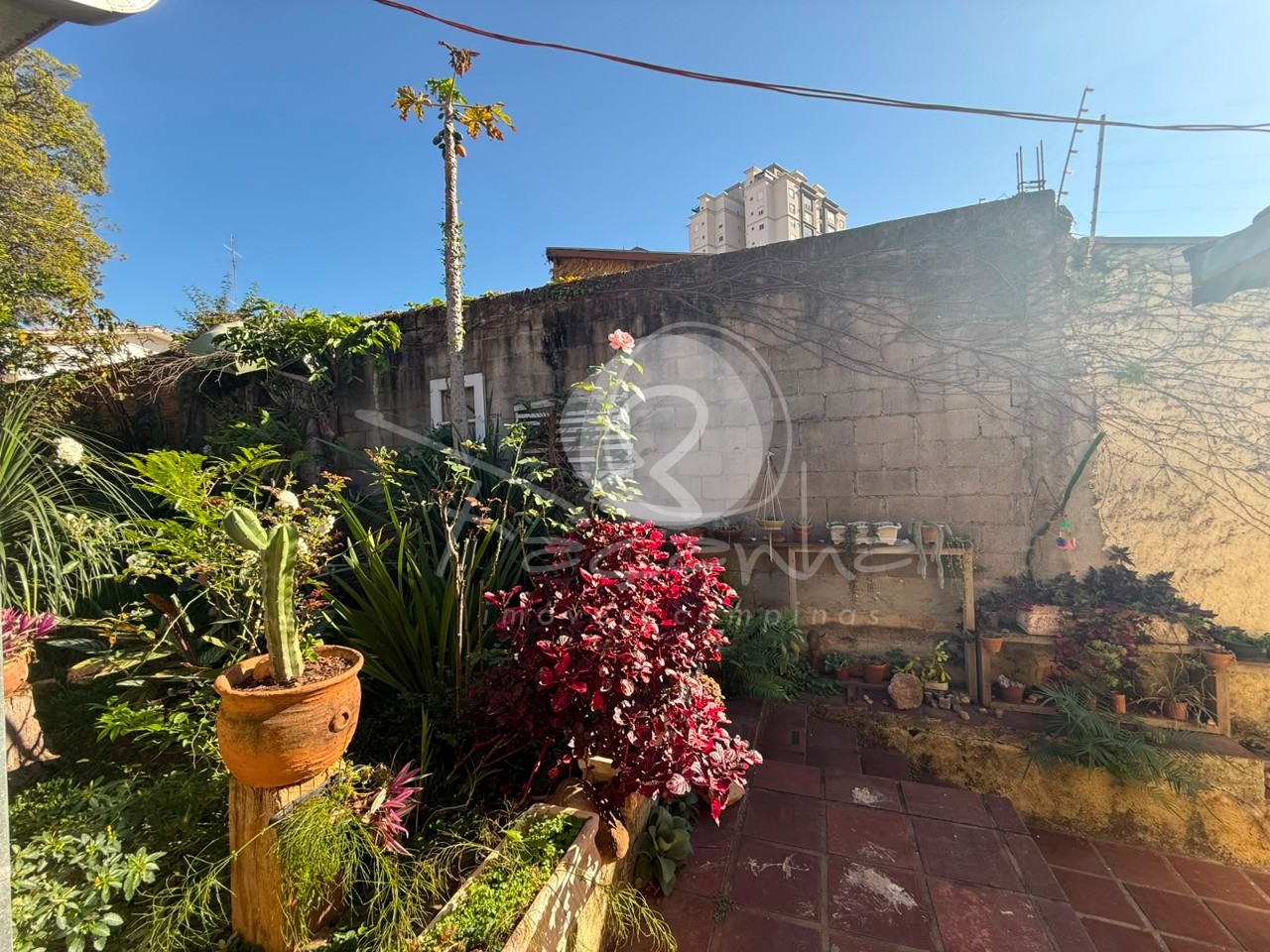 Casa, 4 quartos, 448 m² - Foto 25