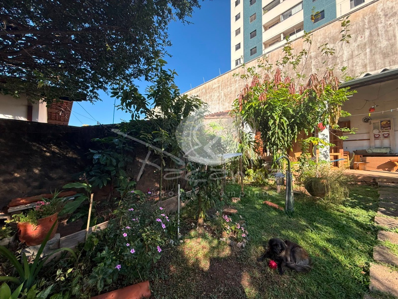 Casa, 4 quartos, 448 m² - Foto 42