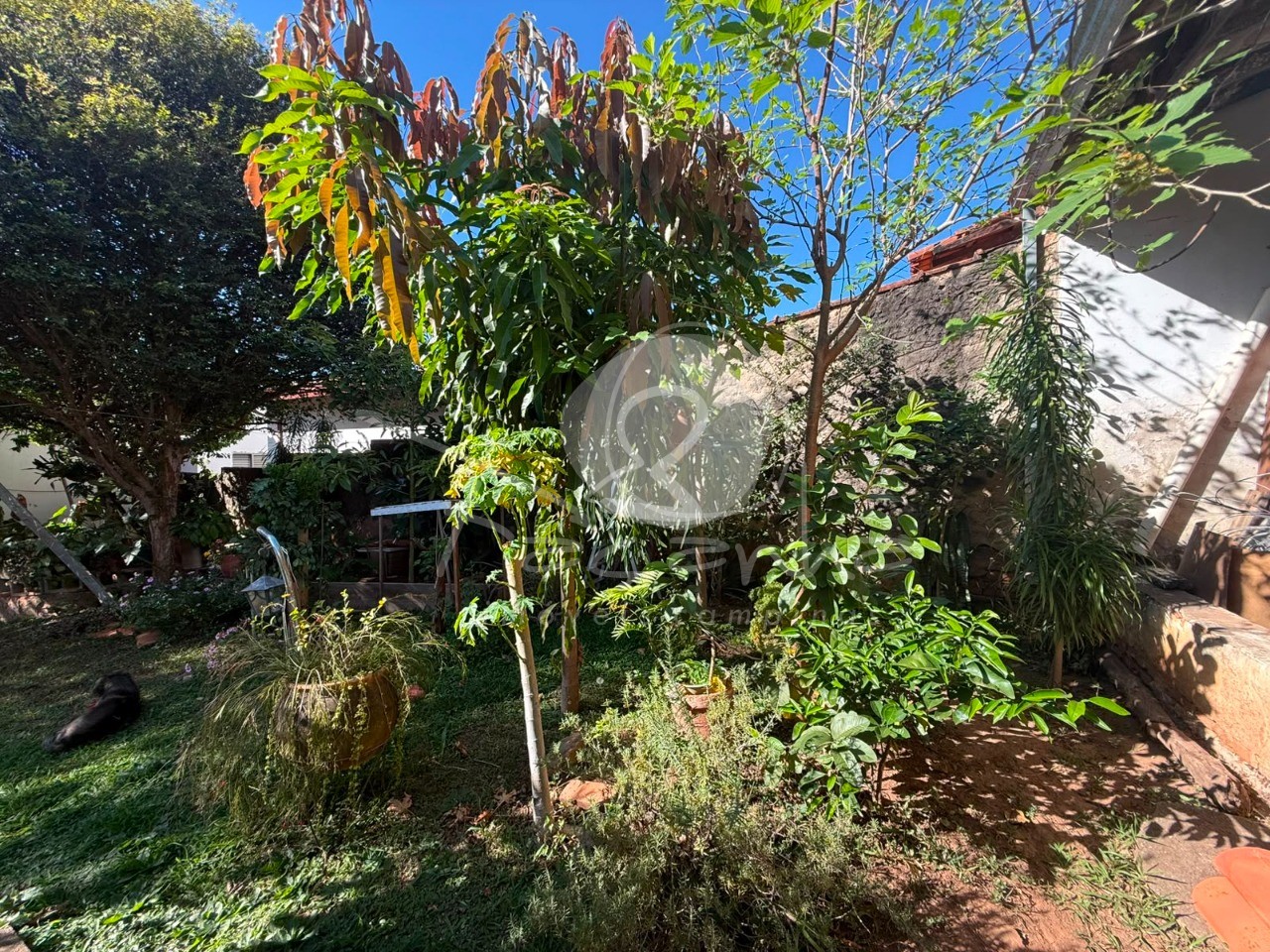 Casa, 4 quartos, 448 m² - Foto 51