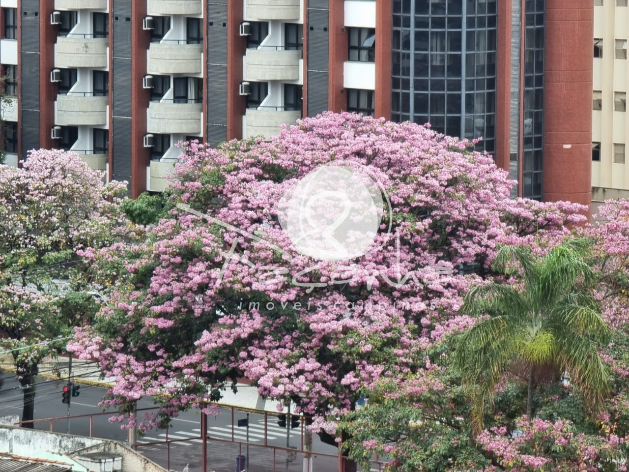 Apartamento, 3 quartos, 97 m² - Foto 37