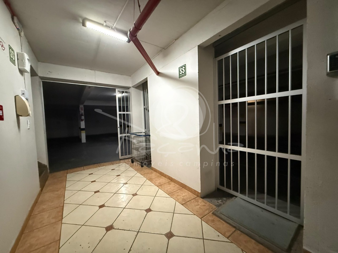 Apartamento, 3 quartos, 81 m² - Foto 50