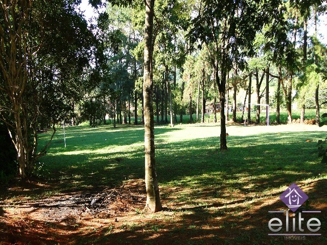 Sítio, 3 quartos - Foto 19