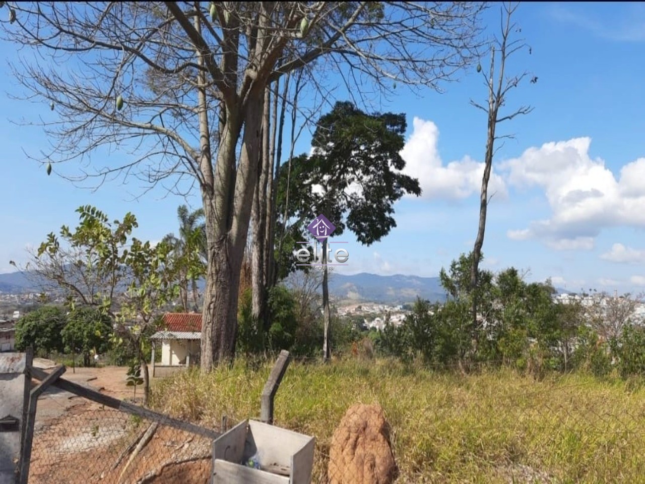 Terreno à venda - Foto 4