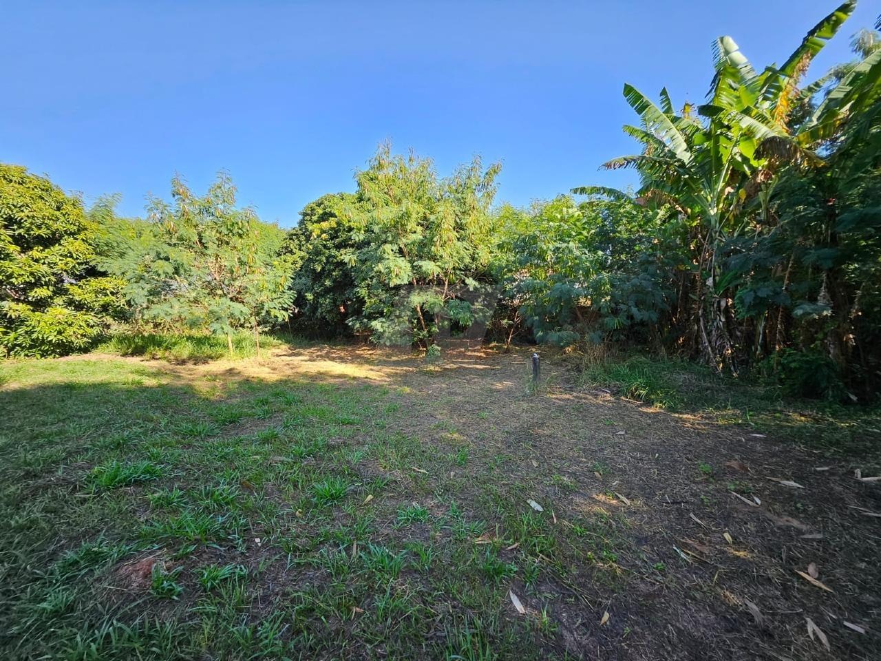 Terreno, 5000 m² - Foto 15