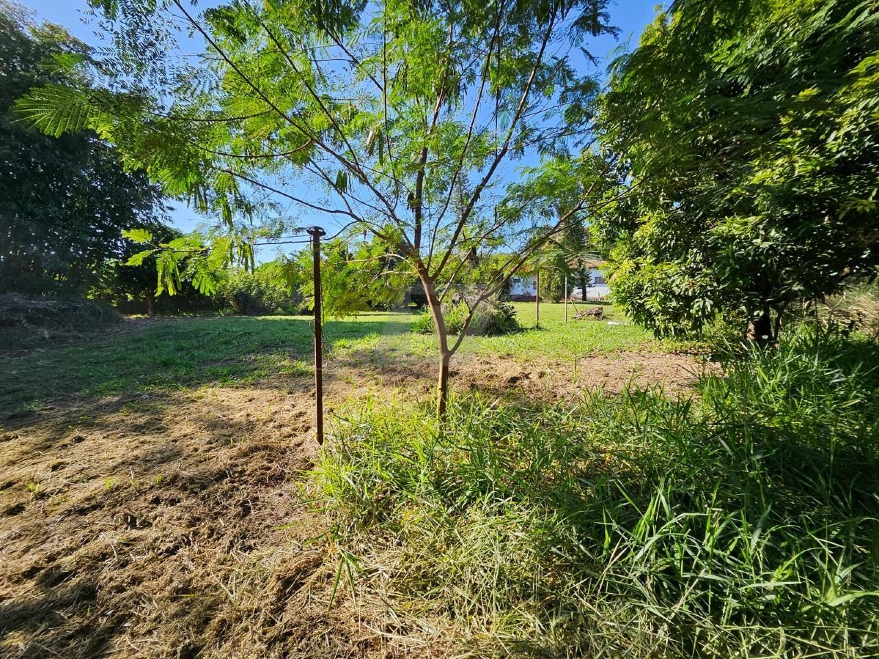Terreno, 5000 m² - Foto 18