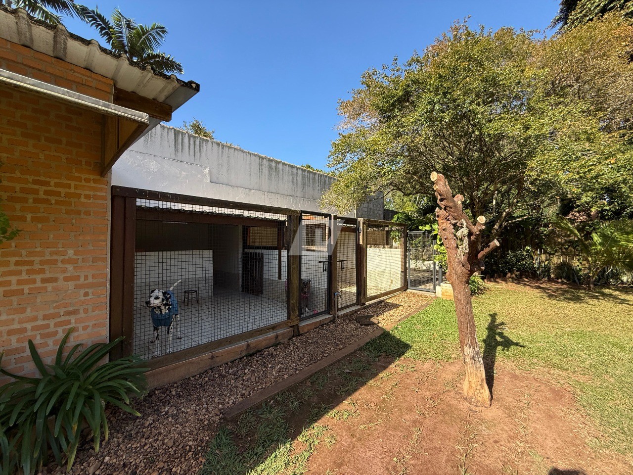 Fazenda à venda com 5 quartos, 490m² - Foto 68