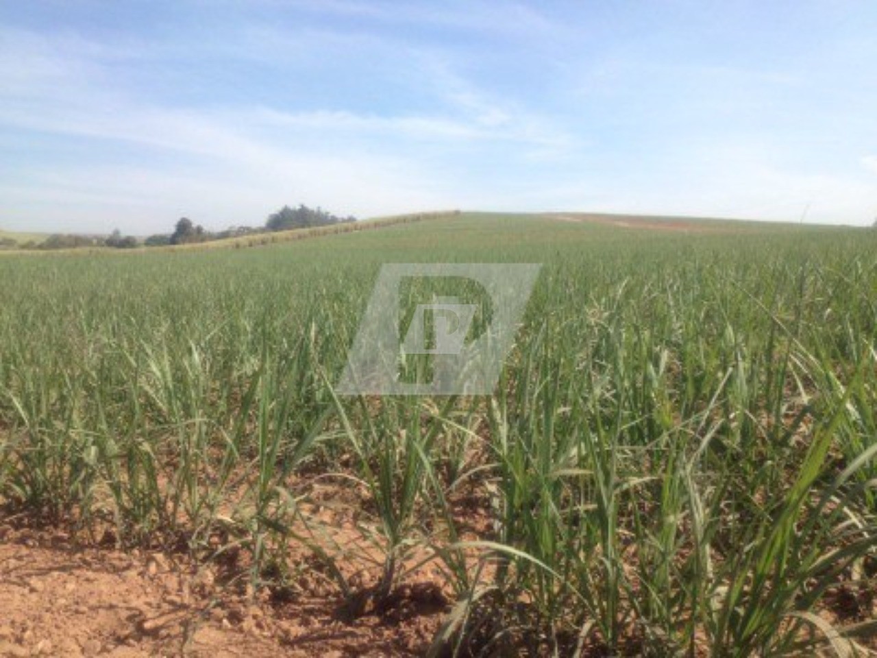 Fazenda, 44 m² - Foto 7