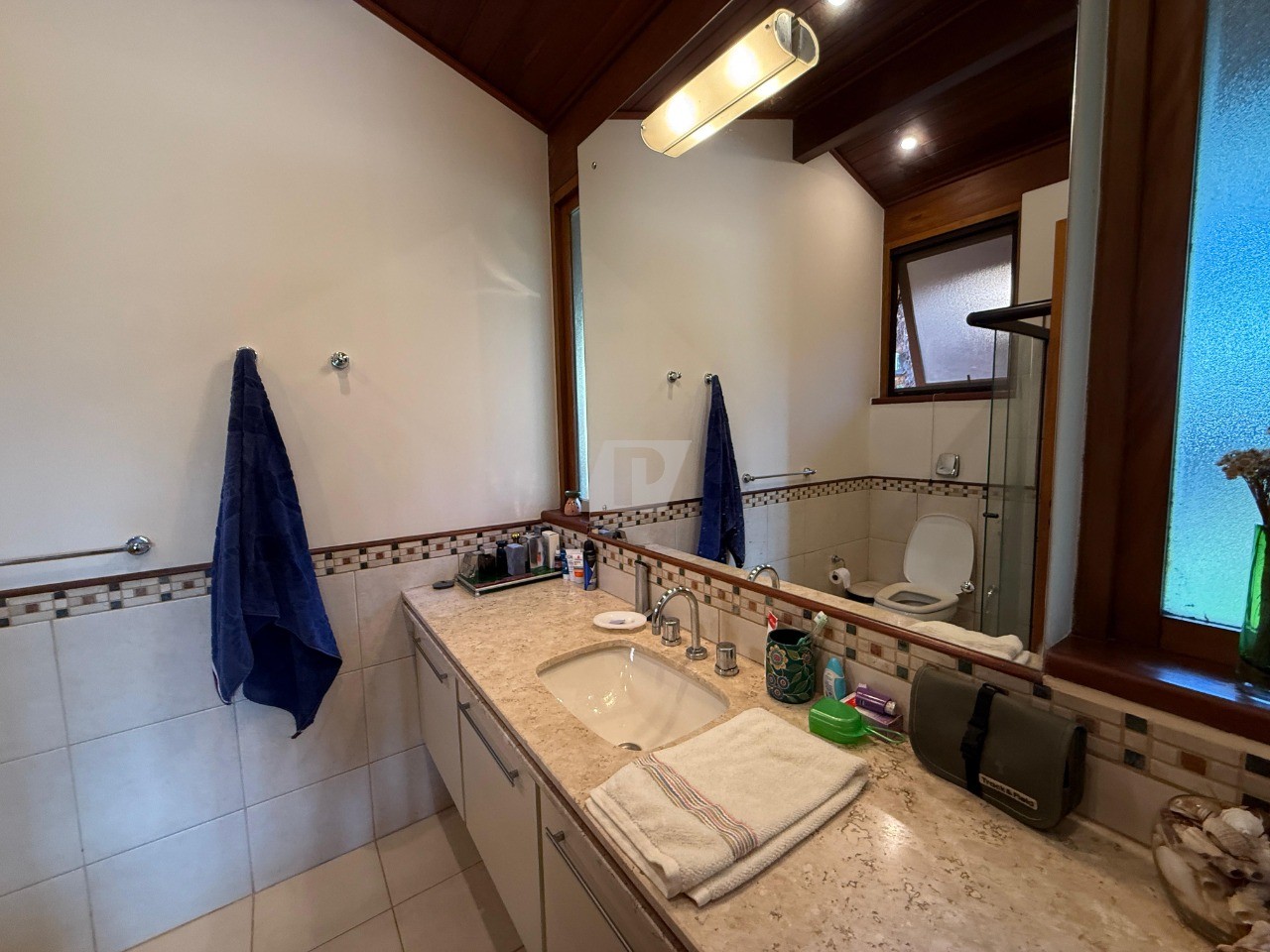 Fazenda à venda com 5 quartos, 490m² - Foto 29