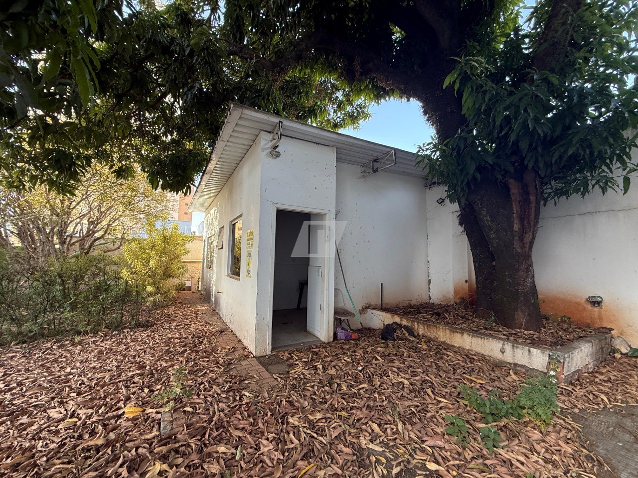Prédio Inteiro para alugar, 323m² - Foto 7