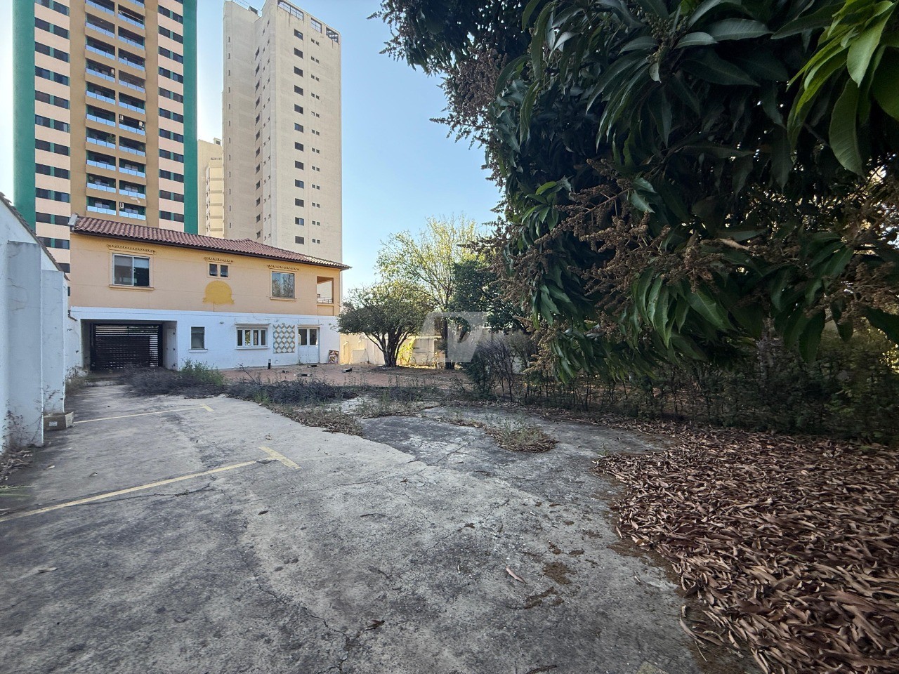 Prédio Inteiro para alugar, 323m² - Foto 4