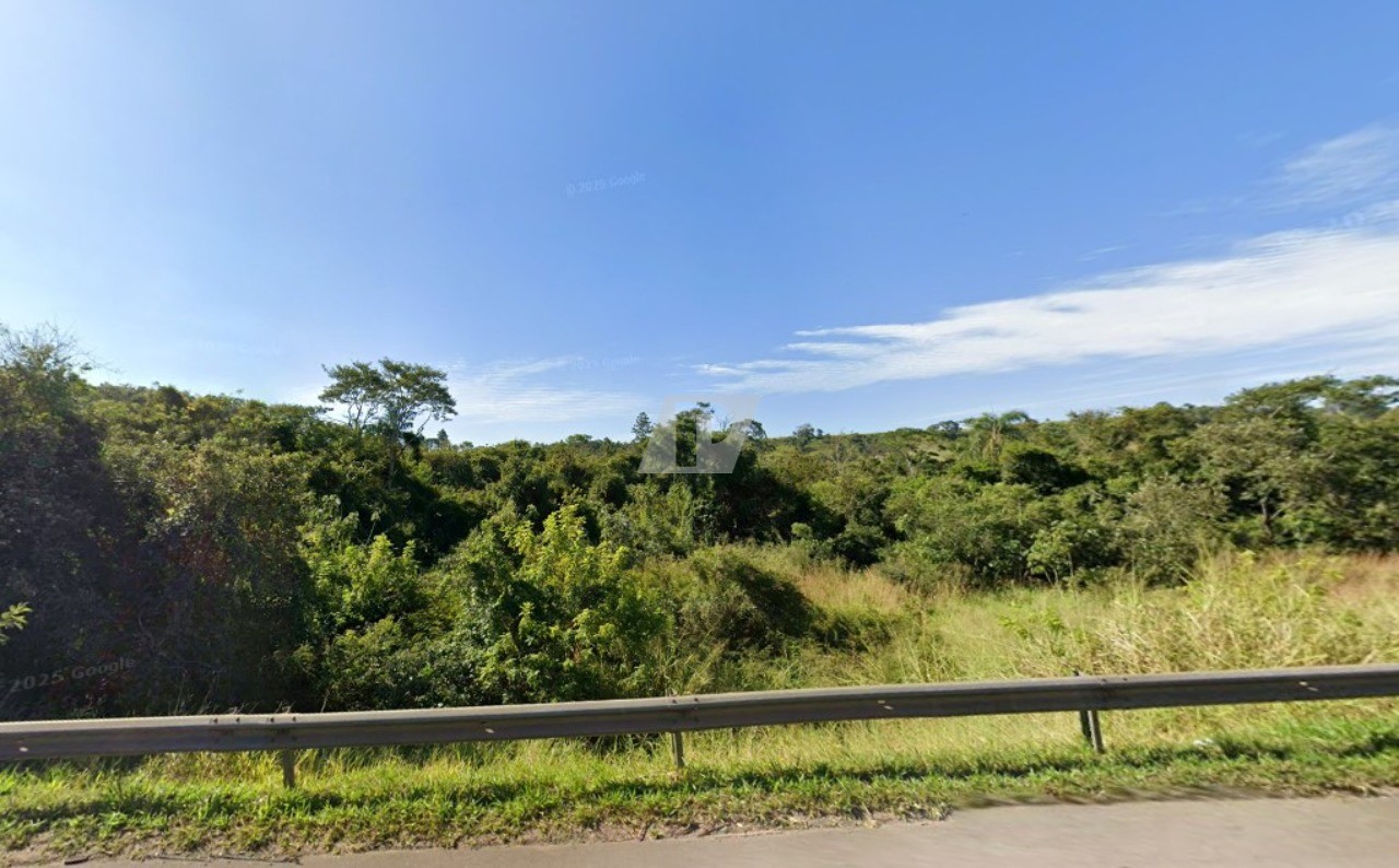 Terreno, 196000 m² - Foto 4