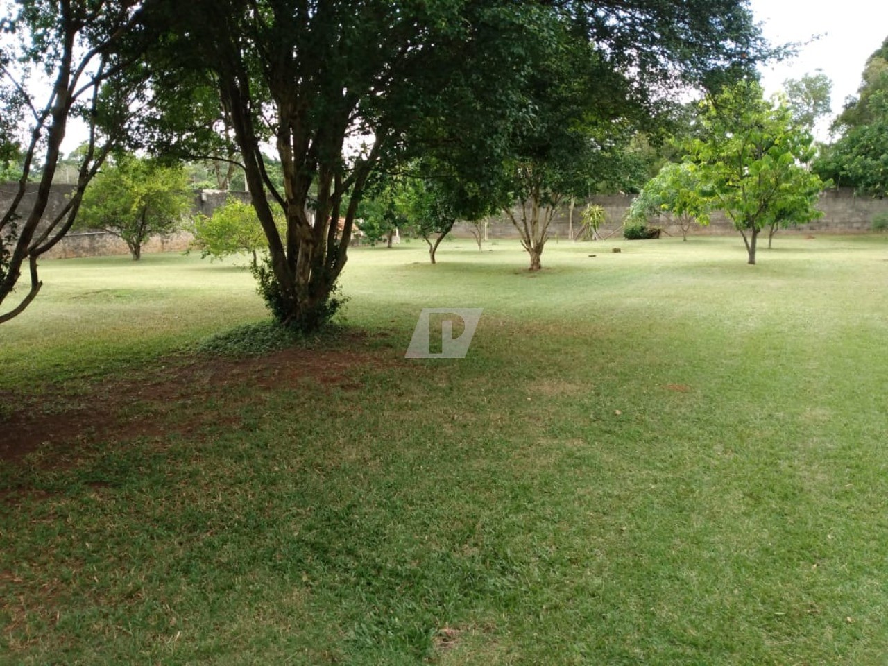 Sítio, 3 quartos, 3258 m² - Foto 14