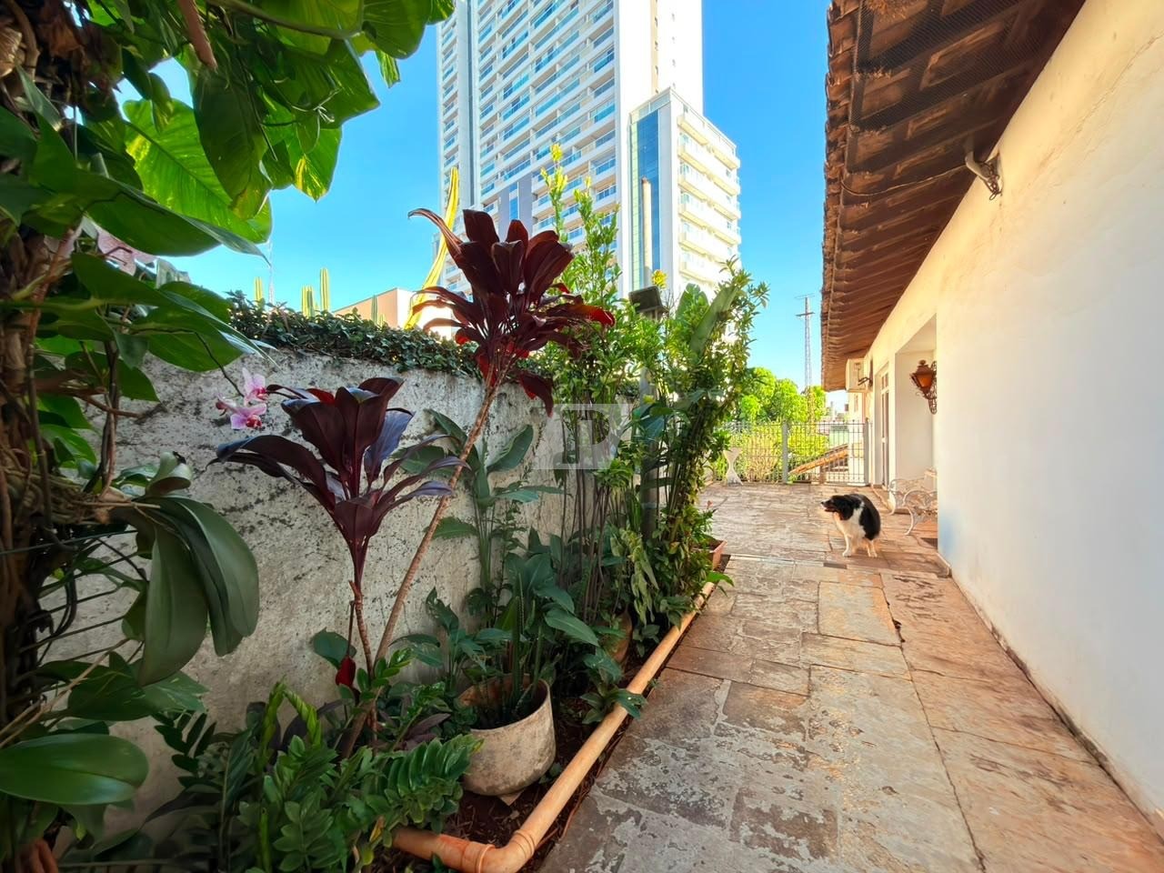Sobrado, 6 quartos, 448 m² - Foto 7