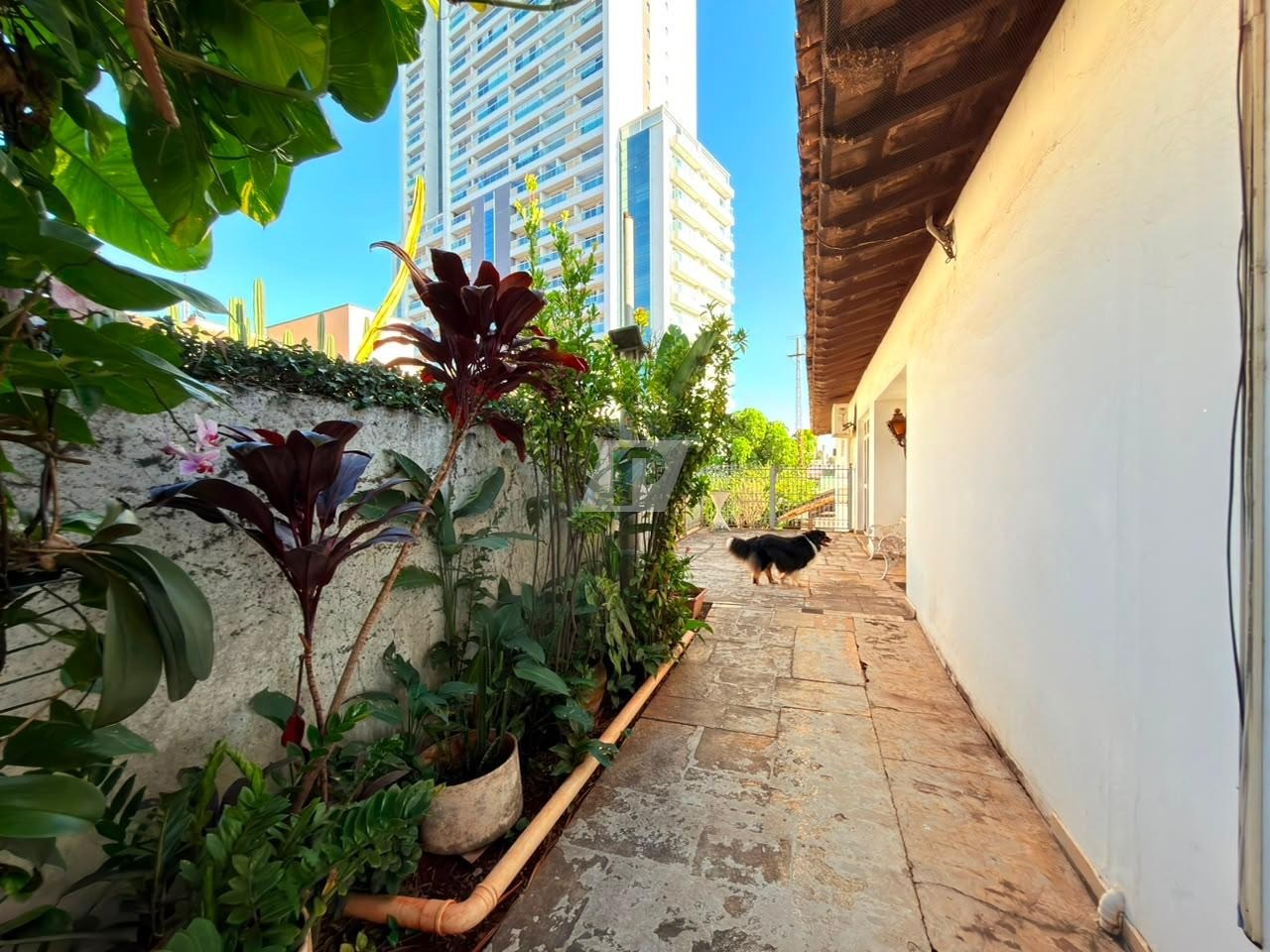 Sobrado, 6 quartos, 448 m² - Foto 71