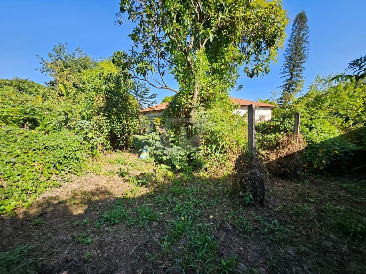 Terreno, 5000 m² - Foto 8