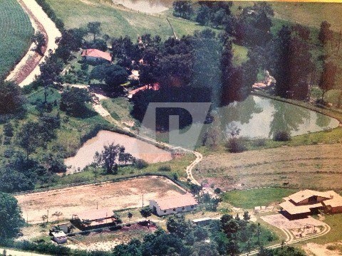 Fazenda, 8 hectares - Foto 7