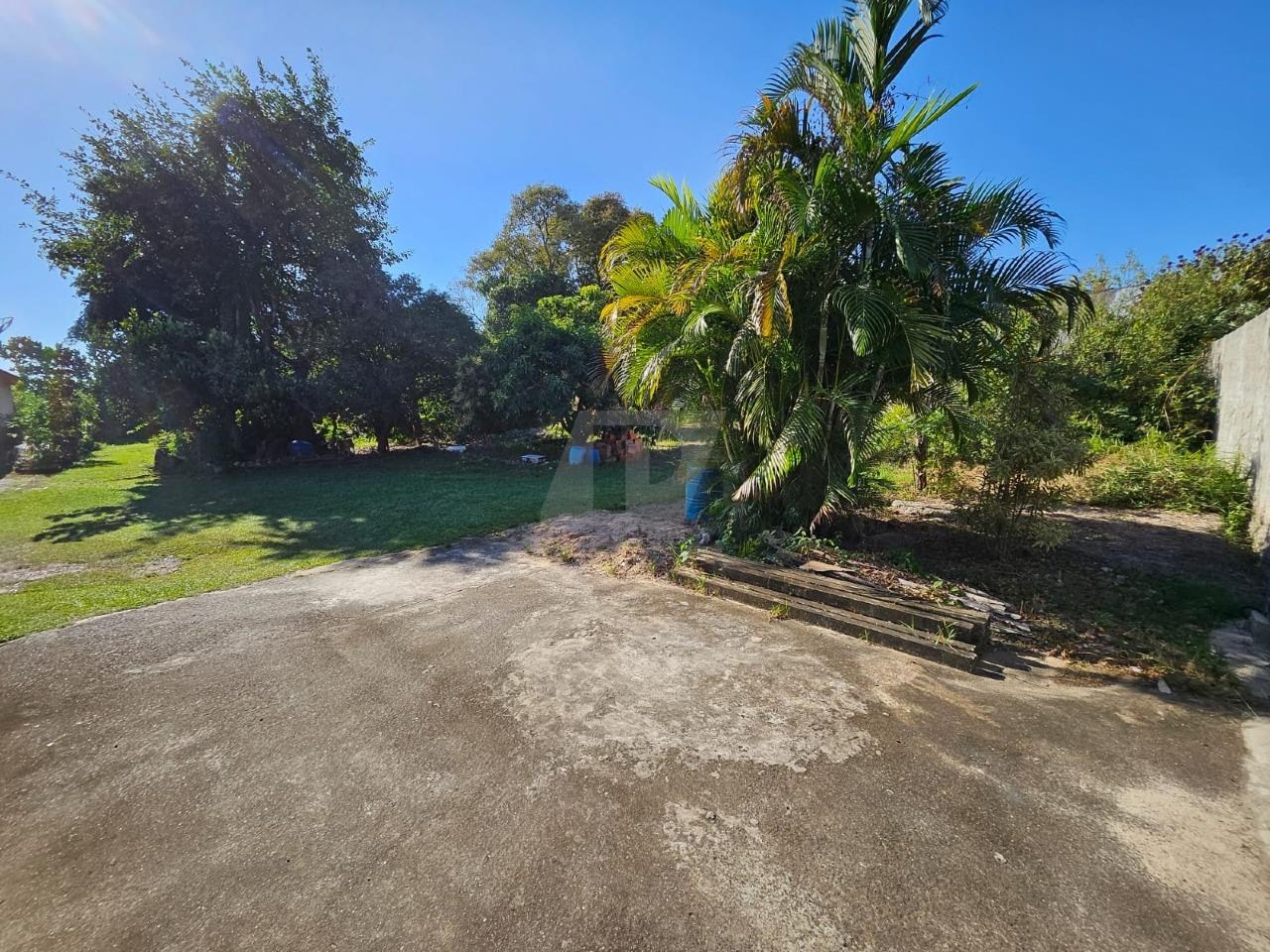 Terreno, 5000 m² - Foto 4