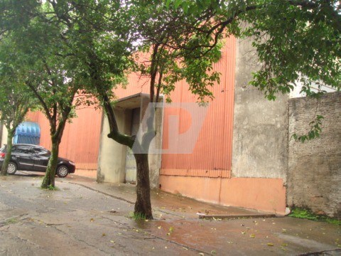 Depósito-Galpão, 2000 m² - Foto 12