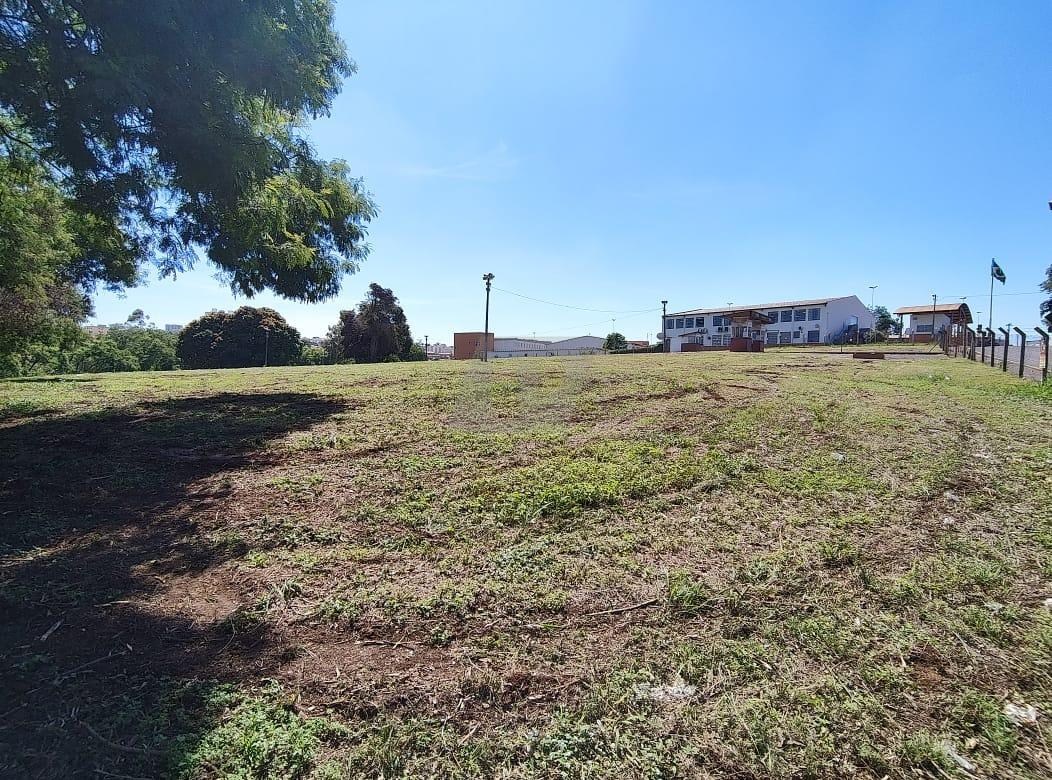 Terreno, 2 hectares - Foto 4