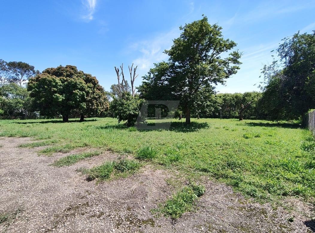 Terreno, 2 hectares - Foto 16