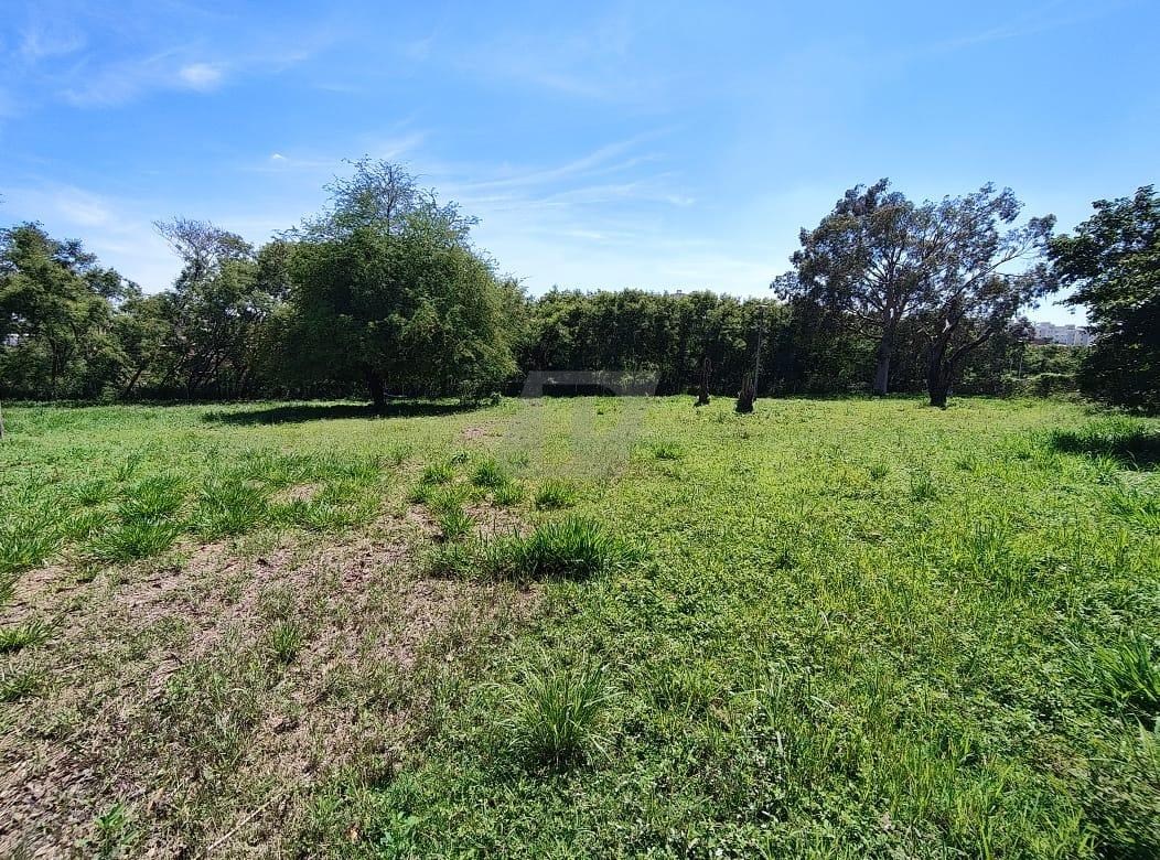 Terreno, 2 hectares - Foto 10