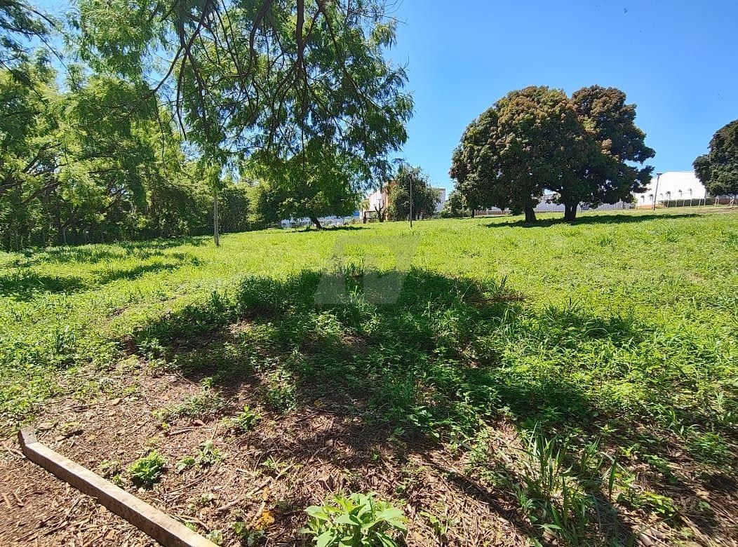 Terreno, 2 hectares - Foto 12