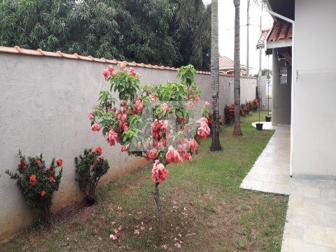 Casa, 3 quartos, 280 m² - Foto 15