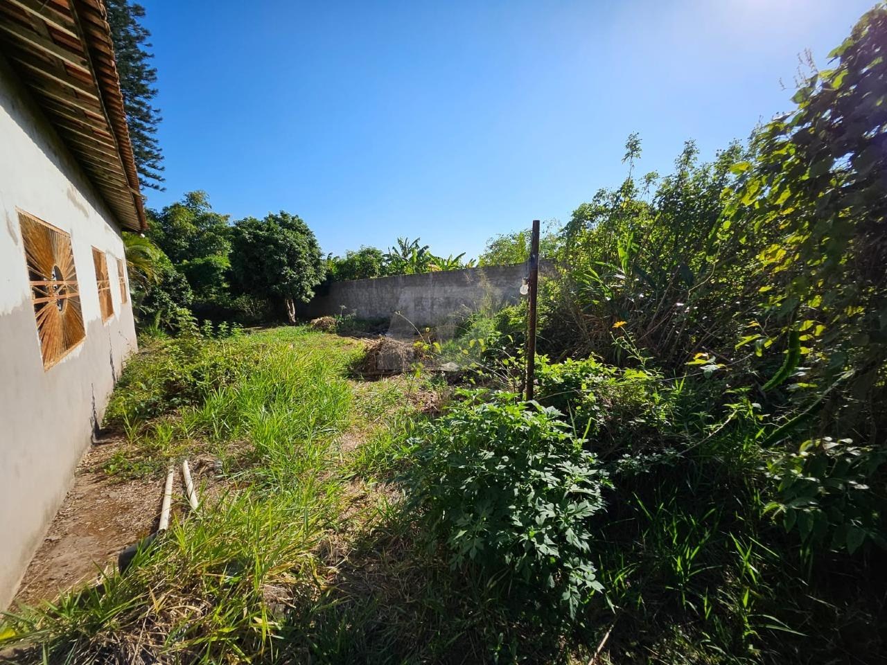 Terreno, 5000 m² - Foto 7