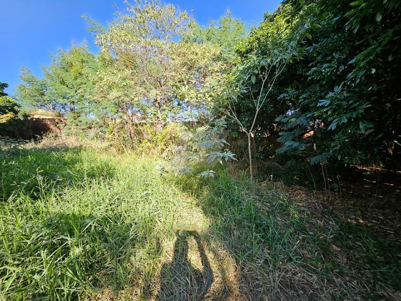 Terreno, 5000 m² - Foto 17
