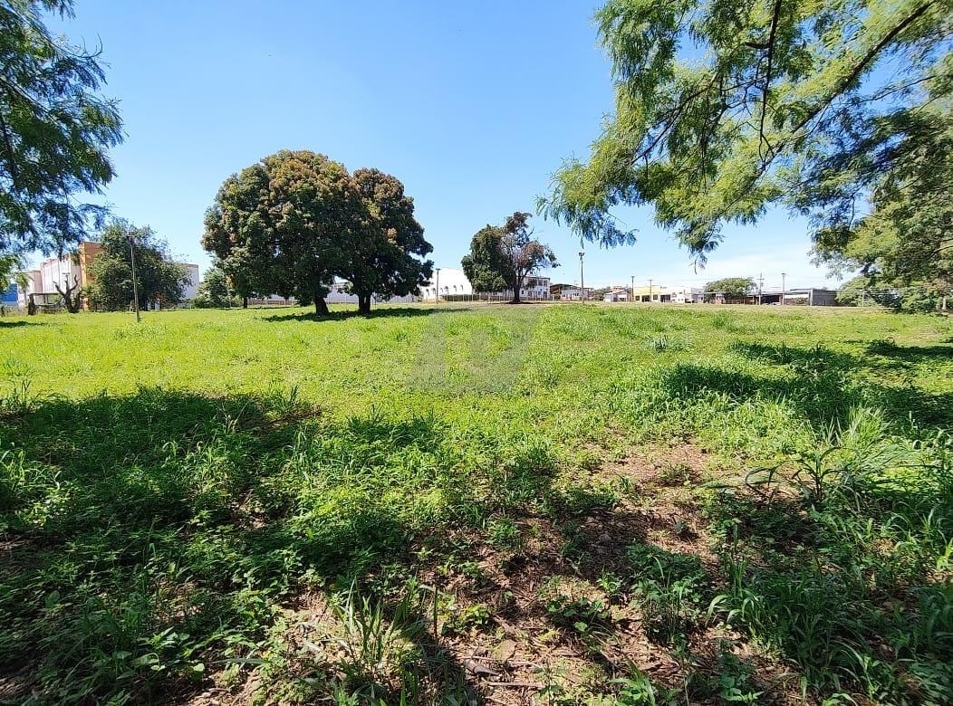 Terreno, 2 hectares - Foto 14