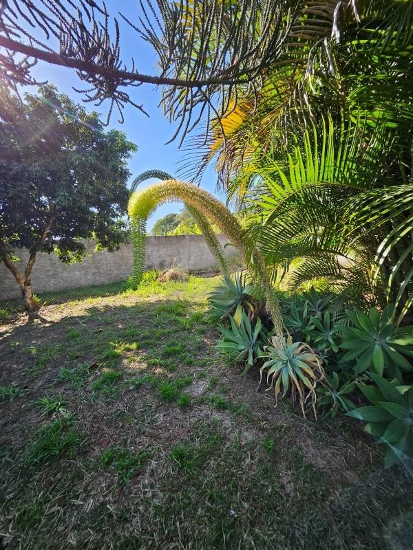 Terreno, 5000 m² - Foto 22