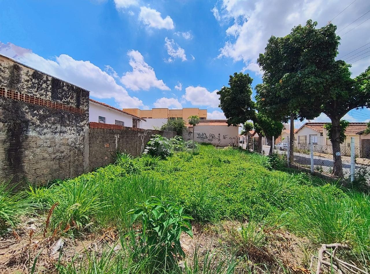 Terreno, 290 m² - Foto 3