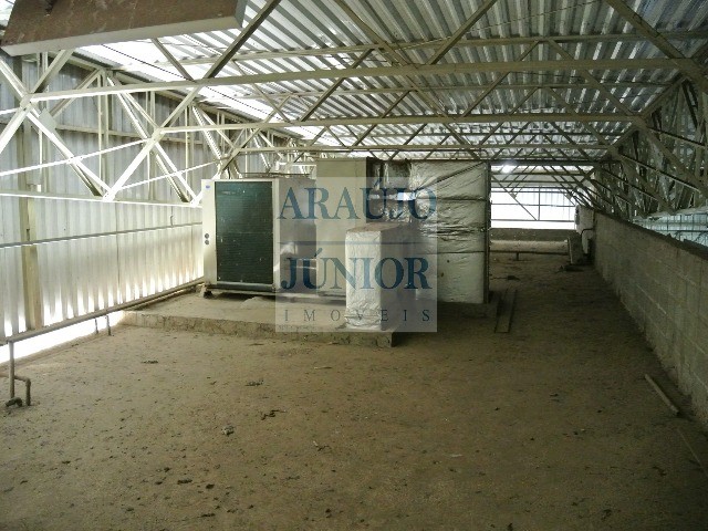 Depósito-Galpão, 4522 m² - Foto 20