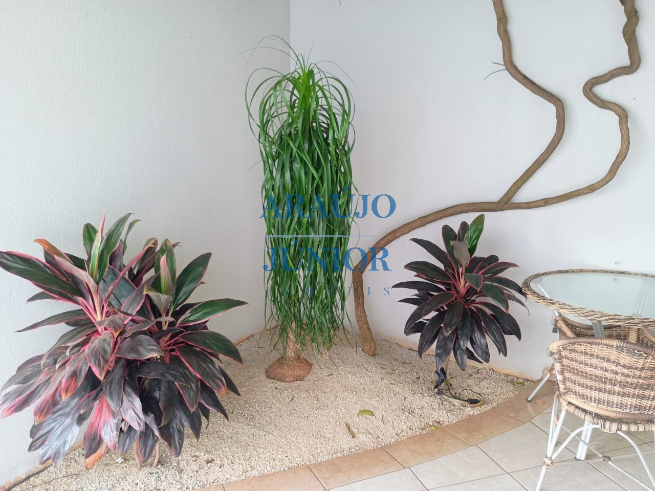 Casa, 3 quartos, 255 m² - Foto 4