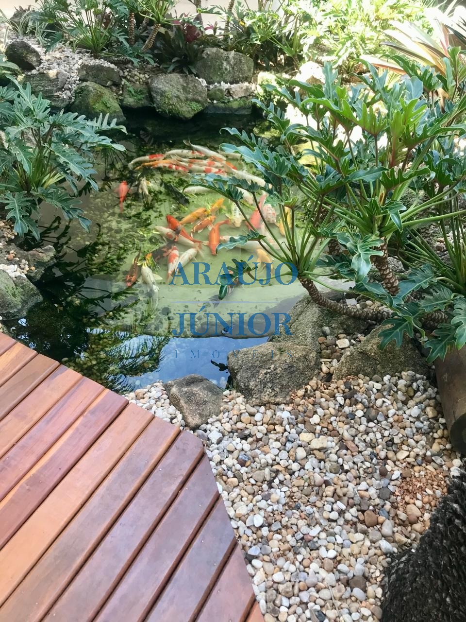 Casa, 3 quartos - Foto 52