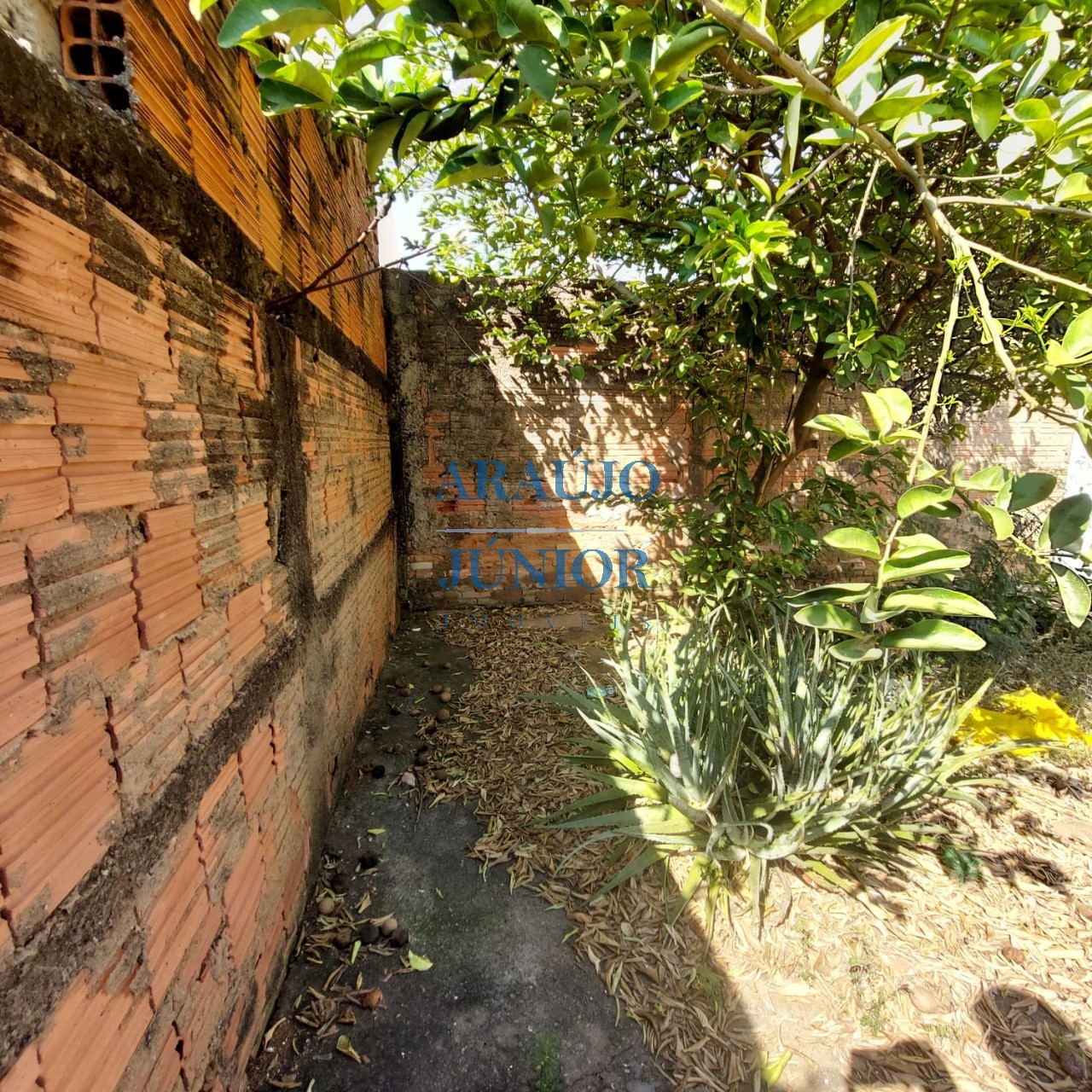 Casa, 2 quartos, 60 m² - Foto 3