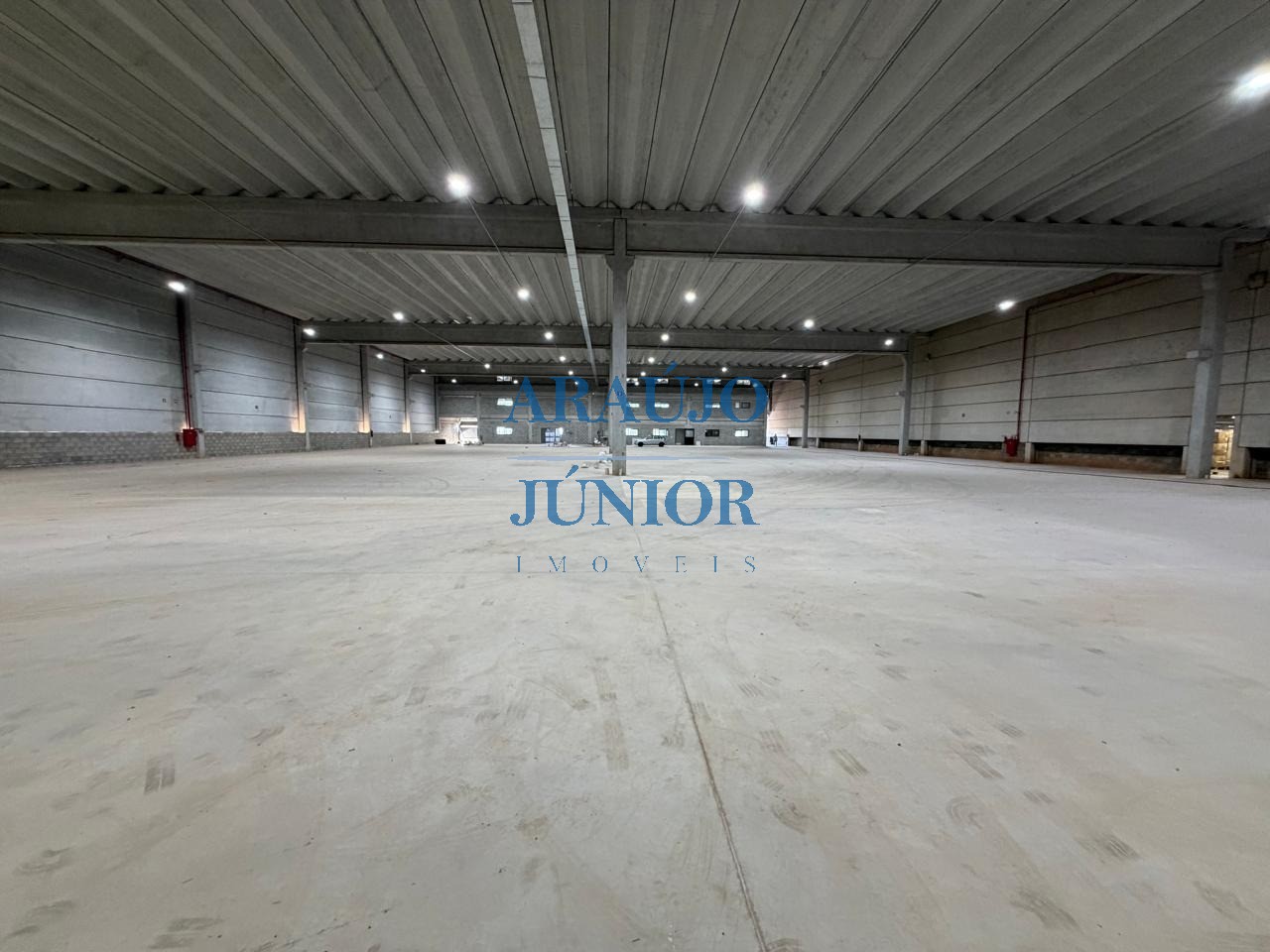 Depósito-Galpão, 4837 m² - Foto 3