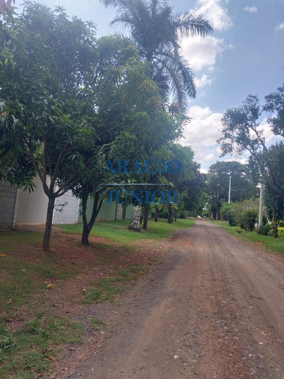 Chácara, 4 quartos - Foto 3