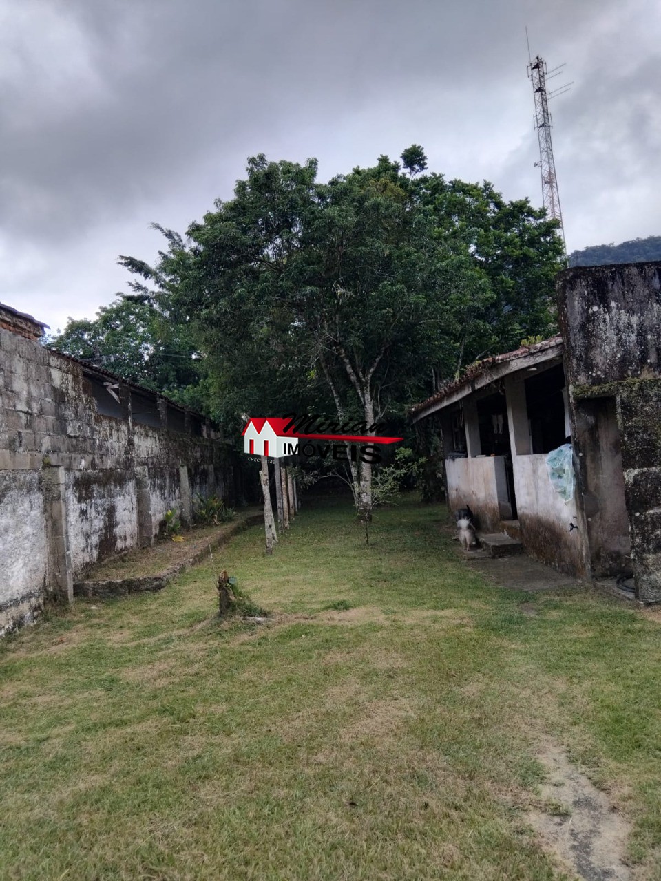 Loja-Salão à venda com 3 quartos, 331m² - Foto 6