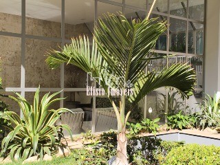 Apartamento, 3 quartos, 260 m² - Foto 13