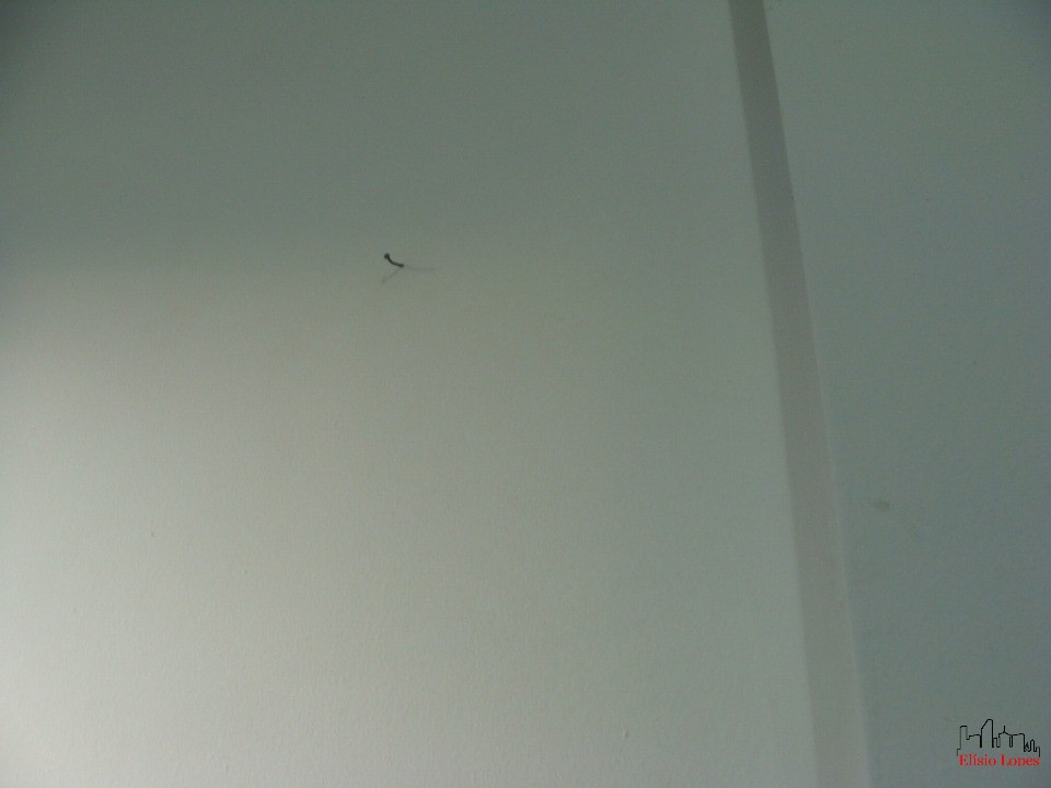 Apartamento, 40 m² - Foto 112