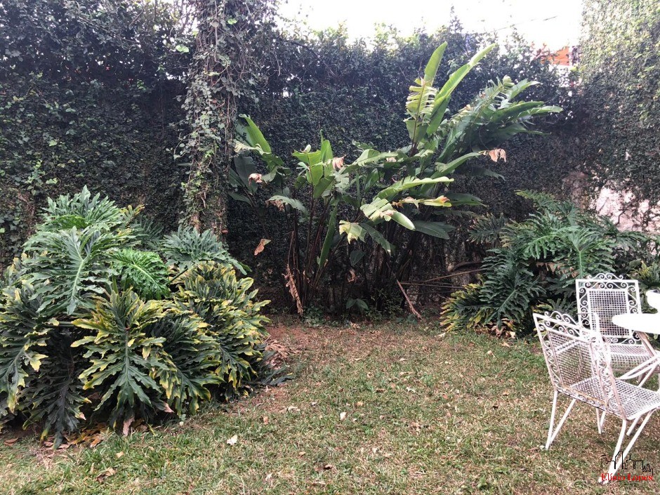 Casa, 2 quartos, 800 m² - Foto 2