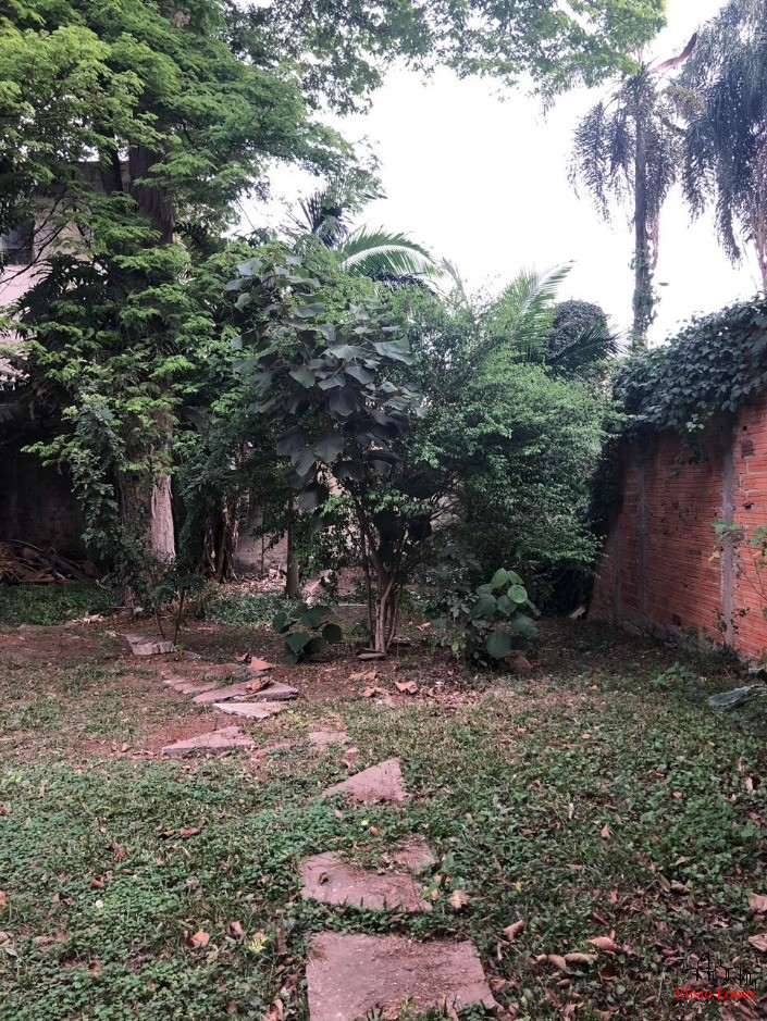 Casa, 2 quartos, 800 m² - Foto 5