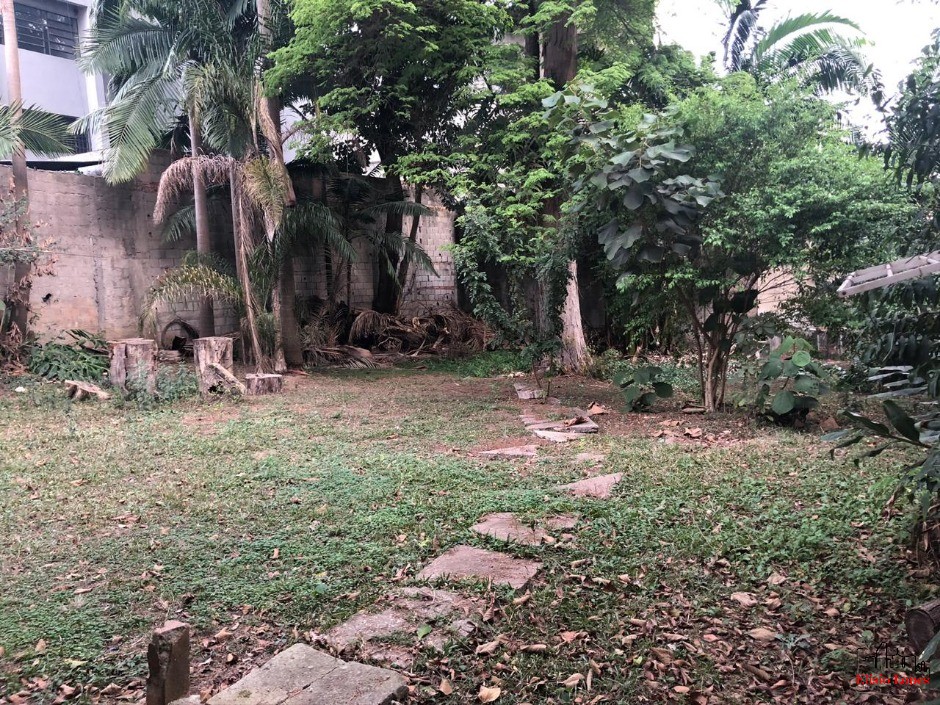 Casa, 2 quartos, 800 m² - Foto 6